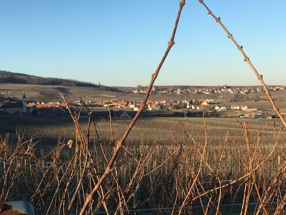 בלינשווילר Les Gites Du Raceme מראה חיצוני תמונה